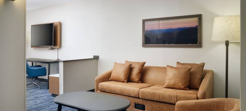 奥本欧佩莱卡万枫酒店酒店(Fairfield Inn & Suites Auburn Opelika)图片