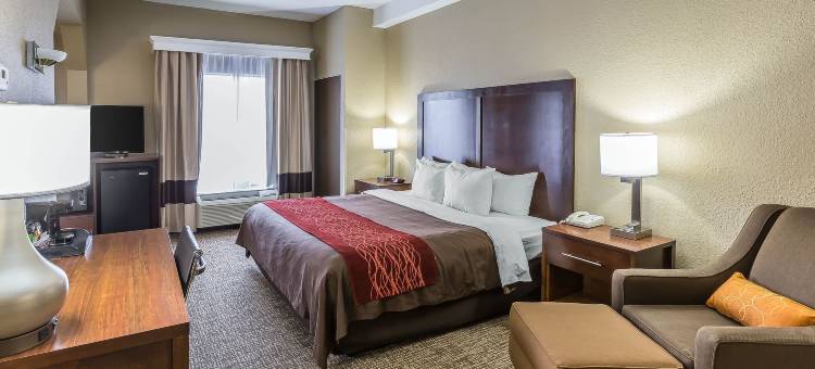 南金斯波特舒适酒店(Comfort Inn South)图片