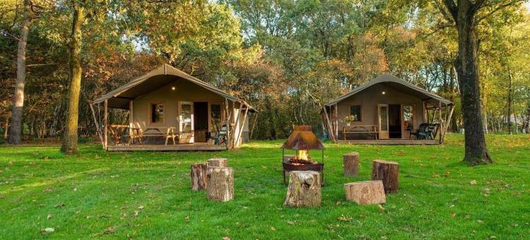 EuroParcs 鲁嫩(EuroParcs Ruinen)图片