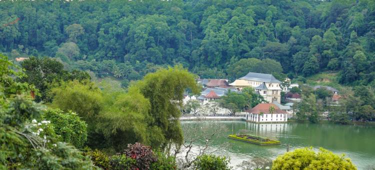 古堡山居·七天使(Castle Hill Bungalow by Seven Angels)图片