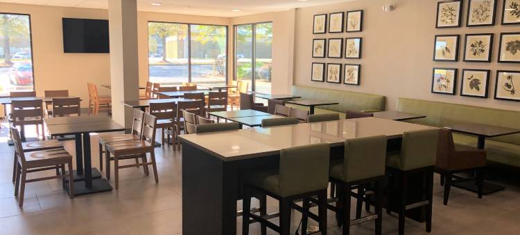 石山丽怡酒店(Country Inn & Suites by Radisson, Stone Mountain, GA)图片
