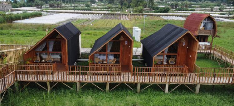 Dynasty Glamping Bedugul图片