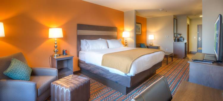 Holiday Inn Express 威奇托南(Holiday Inn Express Wichita South)图片