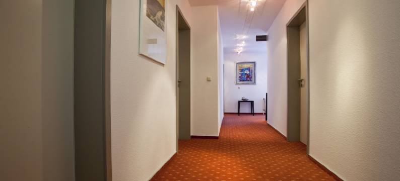 布拉恩黑尔茨酒店(Hotel Am Braunen Hirsch)图片