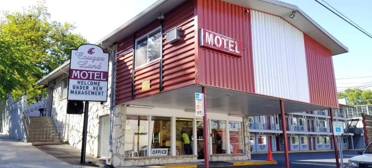 美洲狮之地汽车旅馆(Cougar Land Motel)图片