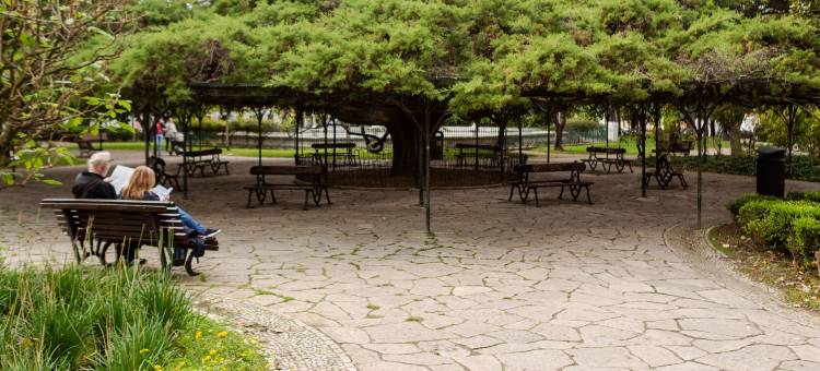 里斯本我的套房旅馆(My Suite Lisbon Serviced Apartments - Principe Real)图片