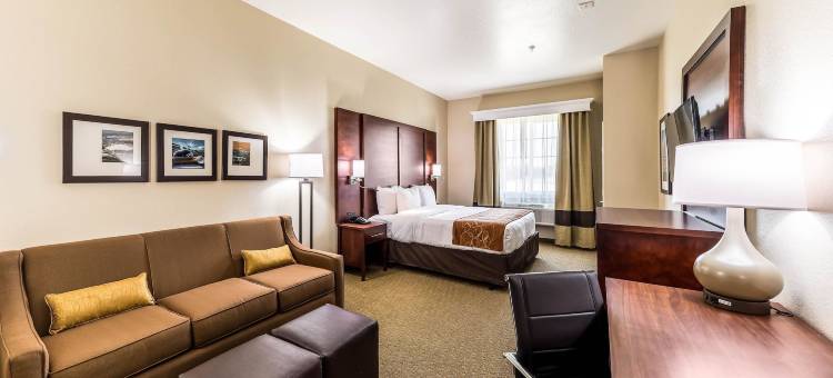 大草原城阿灵顿北部舒适套房酒店(Comfort Suites Grand Prairie - Arlington North)图片