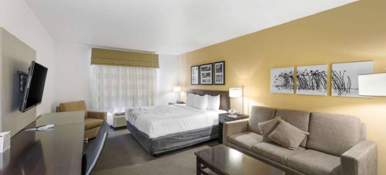 卡尔斯巴德洞穴区舒眠套房酒店(Sleep Inn & Suites Carlsbad Caverns Area)图片