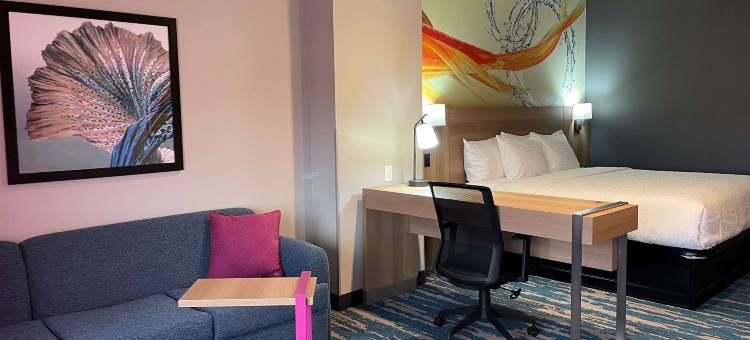 圣安东尼奥海洋世界/LAFB拉昆塔温德姆套房酒店(La Quinta Inn & Suites by Wyndham San Antonio Seaworld/Lafb)图片