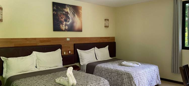 幽谷国际酒店(Hotel Cañada Internacional)图片