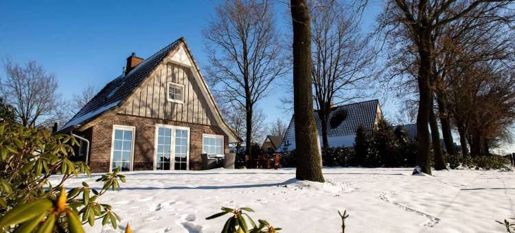 家庭别墅 + 桑拿房和日光室(Family Villa + Sauna & Sunroom)图片