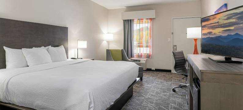 阿什维尔中心凯艺酒店-图努尔路(Quality Inn Asheville Downtown Tunnel Rd)图片