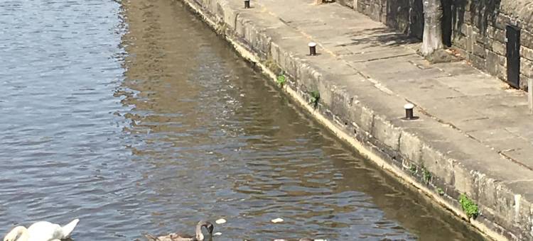 海菲尔德宾馆(Highfield Guesthouse)图片