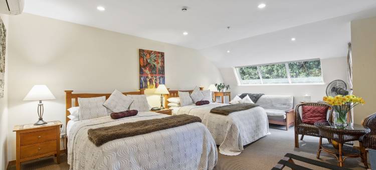 经典别墅酒店(The Classic Villa)图片