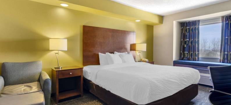 斯丹顿东凯隆波因特酒店(Clarion Pointe Staunton East)图片