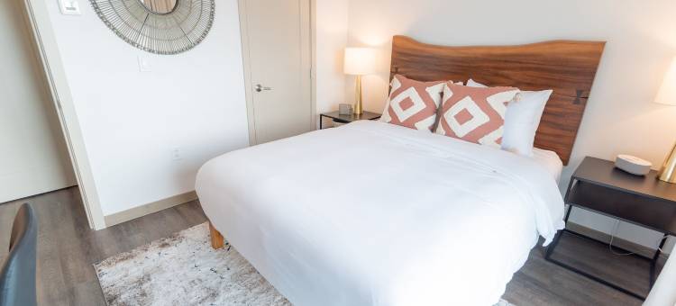 克罗妮套房酒店(Colony Suites)图片