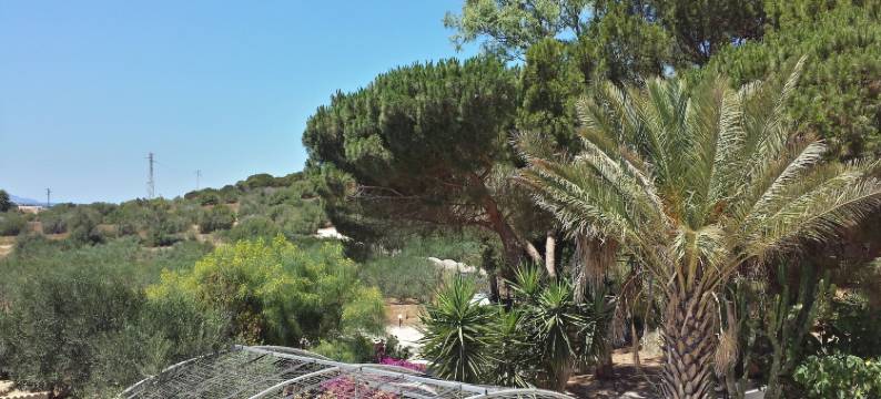 巴格里奥伊尔吉维内托酒店(Baglio il Giovinetto)图片