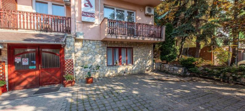 科罗纳裴森酒店(Korona Panzió Budapest)图片