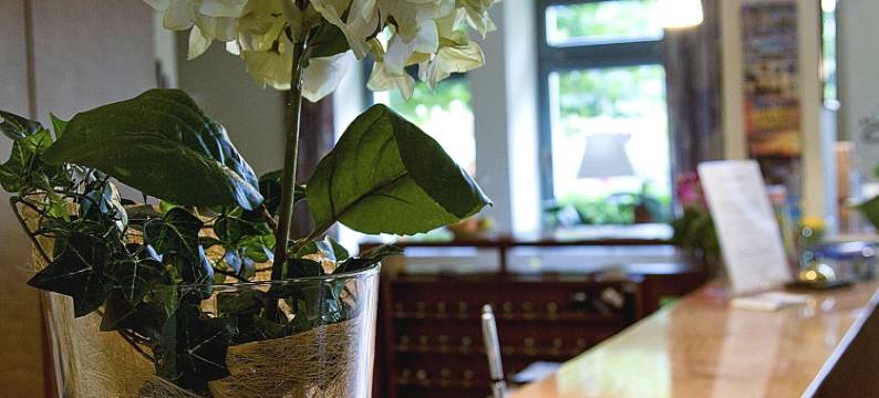 易北河莫里茨餐厅酒店(Hotel Moritz an der Elbe)图片