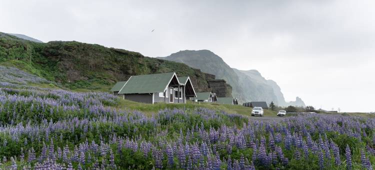 维克小屋(Vík Cottages)图片