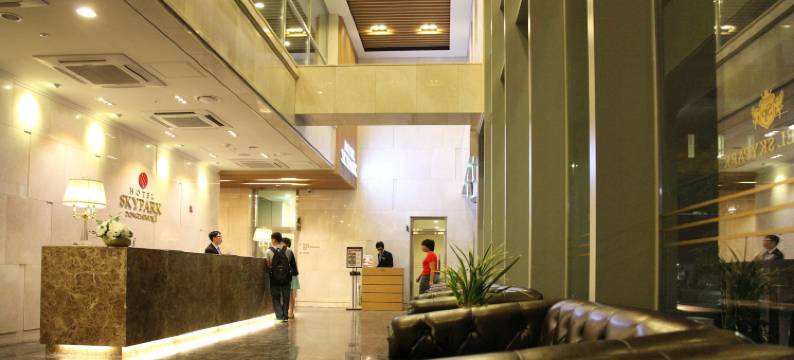 天空花园酒店东大门1号店(Hotel Skypark Dongdaemun I)图片