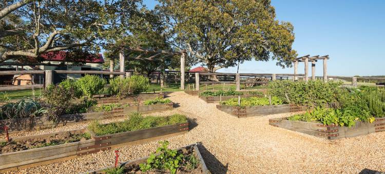 斯派瑟斯希登韦尔酒店(Spicers Hidden Vale)图片