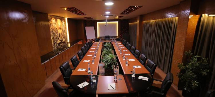 汉皮国际酒店(Hotel Hampi International)图片