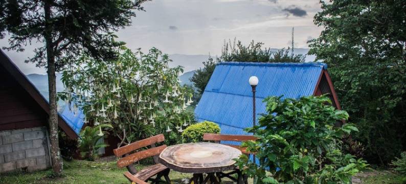 乌克里特农场山旅馆(Ukrist Farm Hill Resort)图片