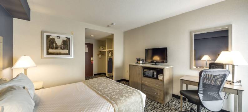 奥克维尔蒙特卡洛套房酒店(Monte Carlo Inn Oakville Suites)图片