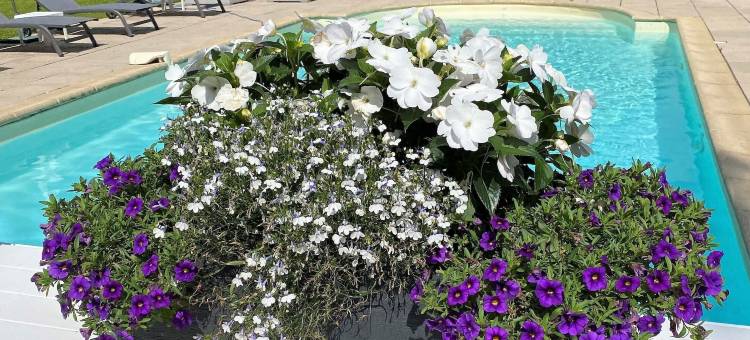 阿达里克花园酒店(Les Jardins d'Adalric)图片