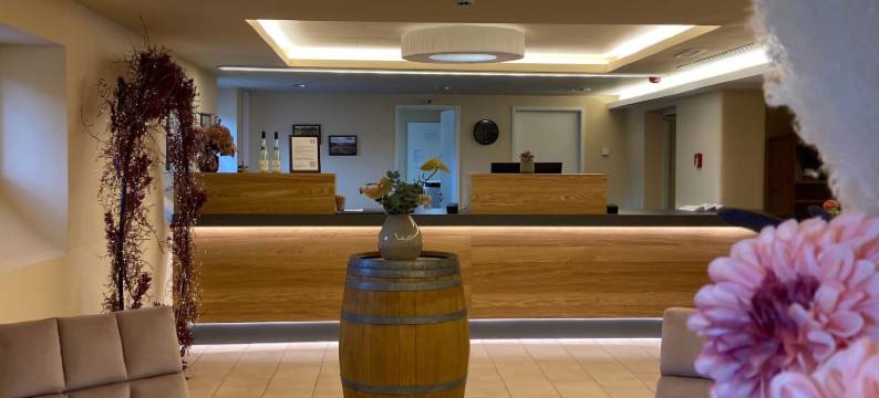 来因斯维勒霍夫酒店(Hotel Leinsweiler Hof)图片