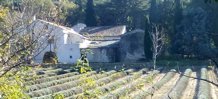 马斯莱斯伊许雷特民宿(Mas les Echelettes)图片