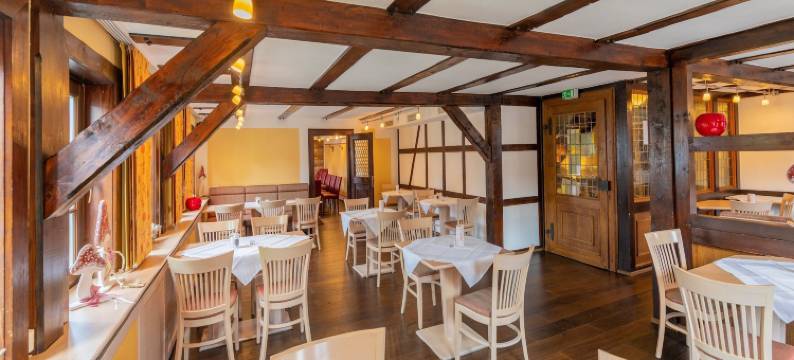 希尔施高登纳酒店(Hotel Goldener Hirsch)图片