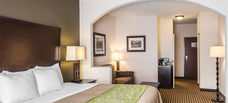 舒适套房酒店(Comfort Inn & Suites)图片