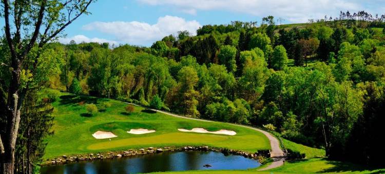 奥格尔贝度假村(Oglebay Resort)图片