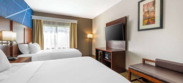 奥马哈东-康瑟尔崖舒适套房酒店(Comfort Suites Omaha East-Council Bluffs)图片