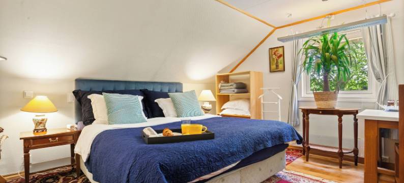 克拉拉(Klara)图片