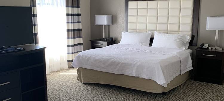 Homewood Suites by Hilton-蒙斯特(Homewood Suites by Hilton Munster)图片