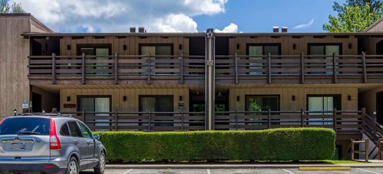 新装修的五星级公寓泳池美景(1023 English Mtn Condo by Beyond Expectations)图片