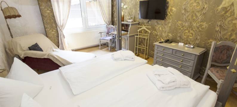 斯普里 - 科特布斯沃德酒店(Spree - Waldhotel Cottbus)图片