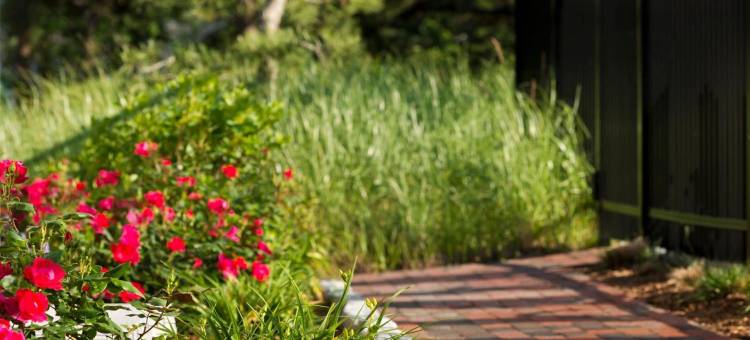 Wilder Inn South Wellfleet, Outset Collection by Hilton图片