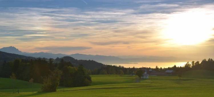 瓦尔德公园之家(Haus am Waldpark)图片