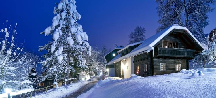 纳蒂雷尔酒店(Naturel Hoteldorf Schönleitn)图片