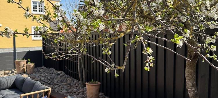 普莱斯纳浴场酒店(Plesners Badehotel)图片