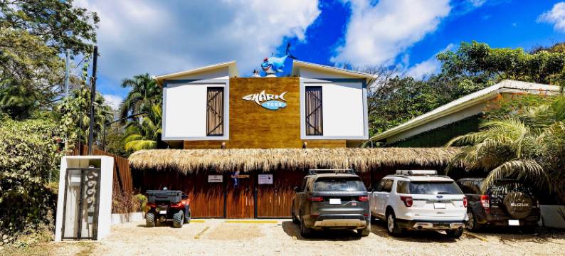 马尔帕伊斯鲨鱼镇(Shark Town Mal Pais)图片