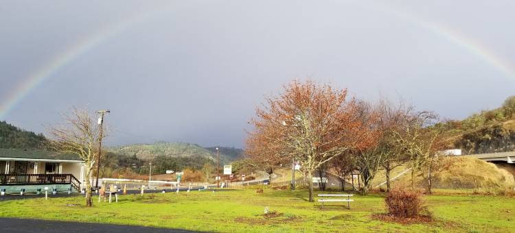 快速停车汽车旅馆和市场(Quick Stop Motel)图片