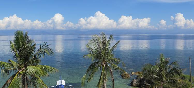 野兰花度假村(The Wild Orchid Resort - Moalboal)图片