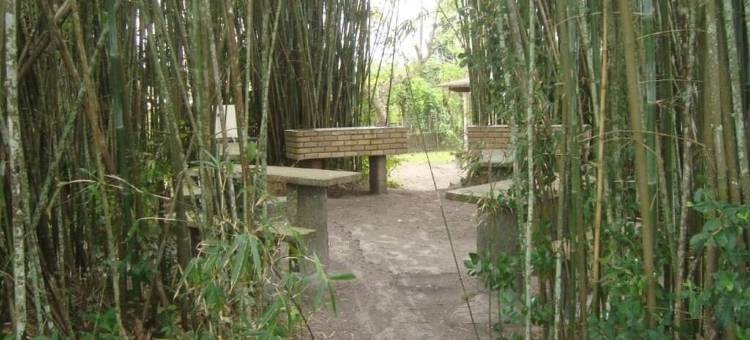 桑布拉木屋(Samburá Chalés)图片