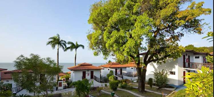 D海滩度假酒店(D Beach Resort)图片