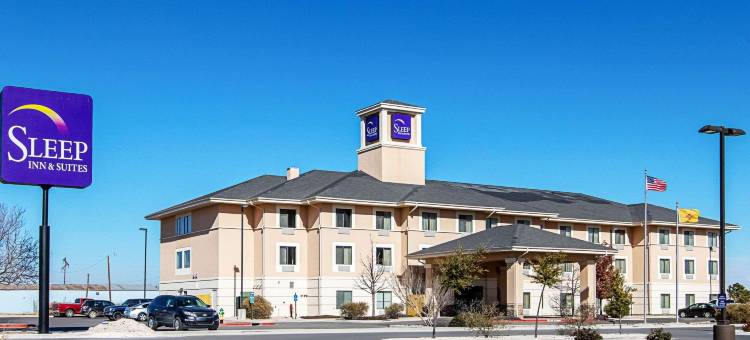 霍布斯的舒眠茵套房酒店(Sleep Inn & Suites)图片